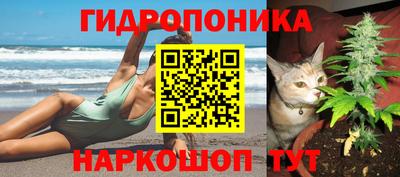 кокс Тулун