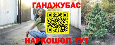 крисы Тверь